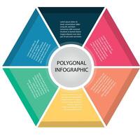 6 point and step hexagon infographic vector