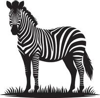Zebra Silhouette isolated on white background Minimalist shape icon vector