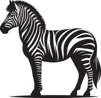 Zebra Silhouette isolated on white background Minimalist shape icon vector