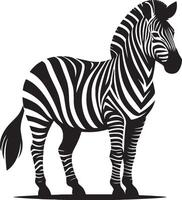Zebra Silhouette isolated on white background Minimalist shape icon vector