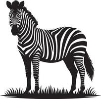 Zebra Silhouette isolated on white background Minimalist shape icon vector