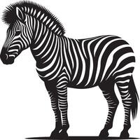 Zebra Silhouette isolated on white background Minimalist shape icon vector