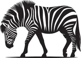 Zebra Silhouette isolated on white background Minimalist shape icon vector