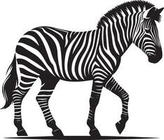 Zebra Silhouette isolated on white background Minimalist shape icon vector