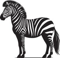 Zebra Silhouette isolated on white background Minimalist shape icon vector