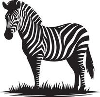 Zebra Silhouette isolated on white background Minimalist shape icon vector