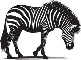 Zebra Silhouette isolated on white background Minimalist shape icon vector