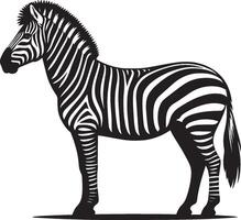 Zebra Silhouette isolated on white background Minimalist shape icon vector