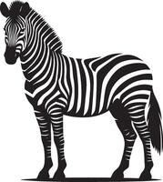 Zebra Silhouette isolated on white background Minimalist shape icon vector