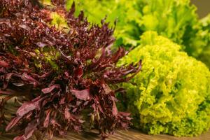 Leaves of lettuce and basil on a wooden background. Seasoning for the kitchen. Greenery. photo