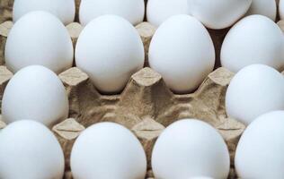 White chicken eggs in a cardboard box with empty space, background photo