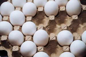 White chicken eggs in a cardboard box with empty space, background photo
