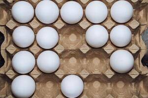 White chicken eggs in a cardboard box with empty space, background photo