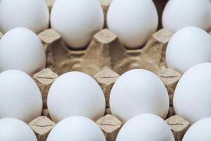 White chicken eggs in a cardboard box with empty space, background photo