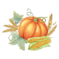 Orange pumpkin accompanied by two ears of yellow corn and wheat stalks with background of green leaves. Clipart for use in seasonal greeting cards, farm-to-table menus, and autumnal event flyers. png
