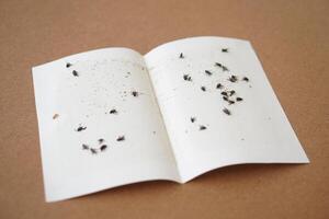 Paper glue fly trap for insects sticked on it. Flycatcher. Concept, equipment for get rid of unsatisfying or annoying insects without using chemicals or pesticide. Safety way to kill flies. photo