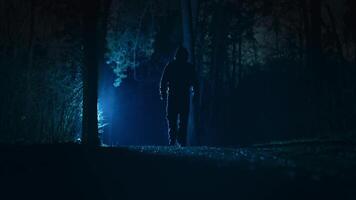 A menacing male figure in a night and foggy forest. A man walks slowly along the path. Scary scene from a horror video