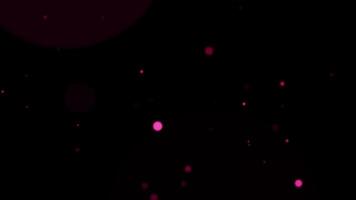 Pink bokeh particles flying animation on black abstract background video