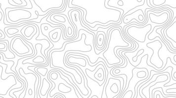Abstract animated outline topographic map lines. Moving waves on white background. 4K looped animation. video