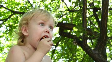 young child sits on a park bench, cookie in hand, their gaze fixed with a sense of wonder and curiosity on the world beyond video