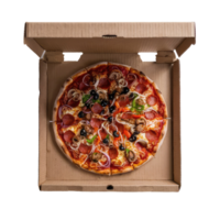 A Delicious Meat Lover's Pizza png