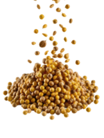 A Pile of Coriander Seeds png