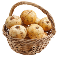 Rutabagas in a wicker basket transparent background png