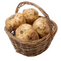 Rutabagas in a wicker basket transparent background png