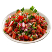 Salsa on a white plate transparent background png