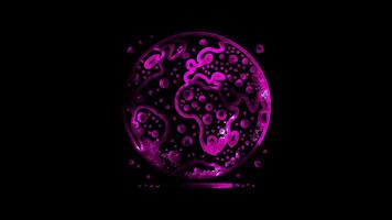 Glowing looping World soil day globe with soil texture. neon frame effect, black background. video