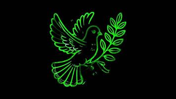 Glowing looping Remembrance Day Dove flying with an olive branch. neon frame effect, black background. video