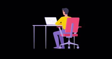 Male developer user business employee working on computer sitting at workplace in home or office animation with alpha channel. Back view focused man programmer manager surfing internet web service video