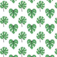 Tropical leaves seamless pattern. Green abstract jungle leaves repeat on white. Summer background design for print, decoration, fabric, card. vector