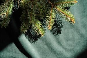 Abstract green velvet Christmas background with Christmas tree branches. photo