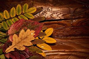 Cozy composition of bright autumn dry leaves on a wooden background. photo