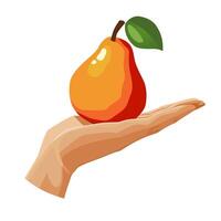 Freshly and healthy red pear in the palm of the hand isolated on white background. illustration in flat style with dietary fruit. Clipart for card, banner, flyer, poster design vector