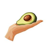 Freshly and healthy green half avocado in the palm of the hand isolated on white background. illustration in flat style with dietary vegetable. Clipart for card, banner, flyer, poster design vector