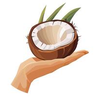 Freshly and healthy coconut in the palm of the hand isolated on white background. illustration in flat style with tropical fruit. Clipart for card, banner, flyer, poster design vector