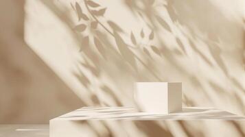 This is an abstract minimalist setting featuring a cube, a play of light, and shadows of leaves on a neutral backdrop photo