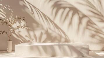 A simple image of a plant in sunlight, casting shadows on the wall, embodying a minimalist aesthetic photo