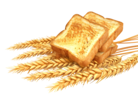 Wheat biscuits with grains. Isolated on a transparent background png