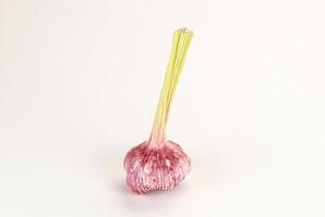 Young fresh garlic for cooking photo