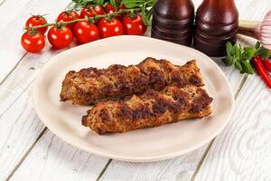 Chicken kebab minced meat and spices photo