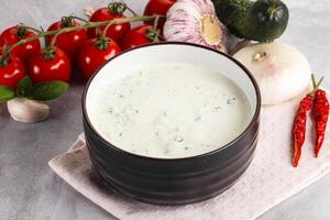 Traditional delicious appetizer greek tzatziki Turkish name cacik photo