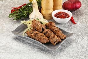 Beef kebab minced meat with onion photo