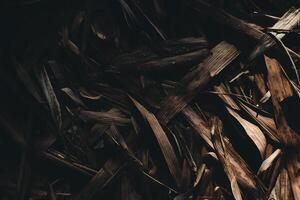 Dry bamboo leaves background photo