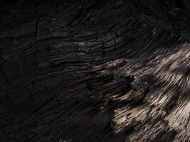 The Surface of charcoal background. photo