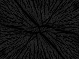 The Surface of charcoal background. photo