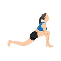 Woman doing equestrian or ashwa sanchalanasana exercise. vector