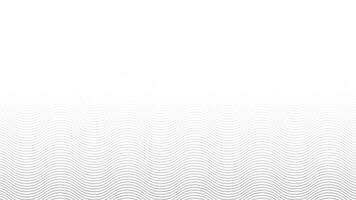 Abstract white and gray color, modern design stripes background with wavy lines. illustration. vector